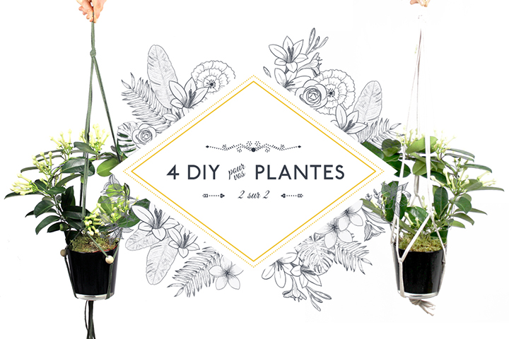 4 DIY pour vos plantes [2/2]